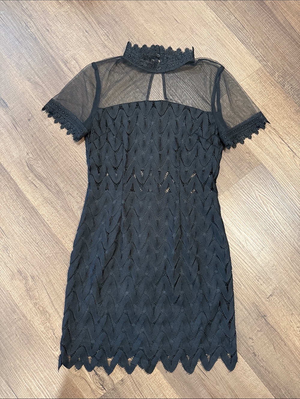 Endless Rose Black Lace Mini Dress with Scalloped High Neck